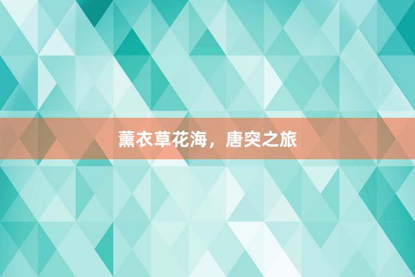 薰衣草花海，唐突之旅